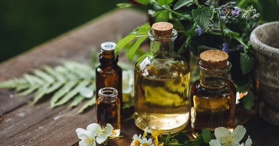 طرق طبيعية لطرد الناموس والذباب من المنزل.. آمنة على صحة أسرتك