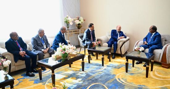 رئيس "القيادة اليمني" يبحث مع رئيسي جيبوتي والصومال التطورات الإقليمية