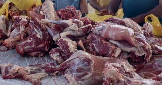 ضبط طن لحوم بلدية مذبوحة خارج المجازر فى أحد المزارع بالعبور