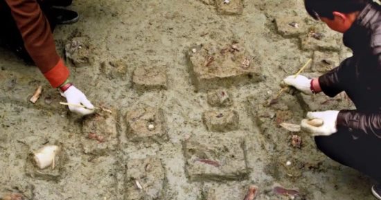 أدوات جزارة عمرها 146 ألف عام فى الصين.. تكشف عن براعة العصر الجليدى