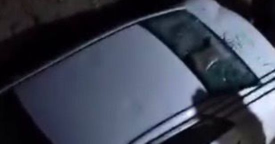 الأمن ينهي مشاجرة طاحنة بين الأشقاء وعمهم