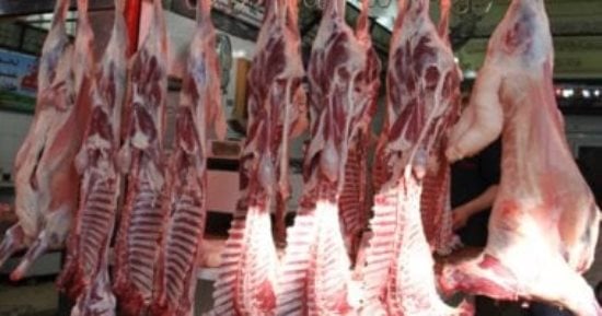 الأضحية السليمة المركز القومى للبحوث يحدد شروط الشراء.. العيون لامعة وبراقة مع فحص الرقبة والصدر.. ينصح بشراء اللحوم الحمراء المختومة.. والفوائد فيتامين B12 للأعصاب وB3 للحماية من الزهايمر وآثار الشيخوخة