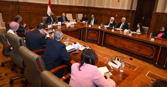 خارجية الشيوخ تستعرض رؤية مصر تجاه إفريقيا: الحلول أساس مواجهة الأزمات