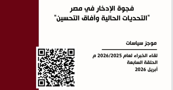 معهد التخطيط القومى يصدر موجز سياسات حول فجوة الإدخار فى مصر 