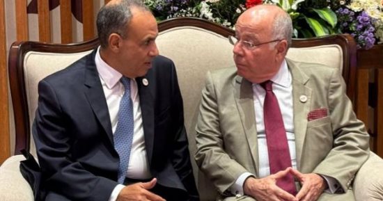 وزير الخارجية يلتقى نظيره البرازيلى على هامش اجتماع وزراء خارجية البريكس