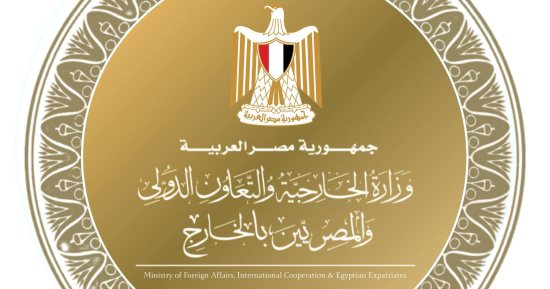مبادرة حكومية للمصريين في الخارج.. طريقة التقديم لـ "علاجك في مصر"