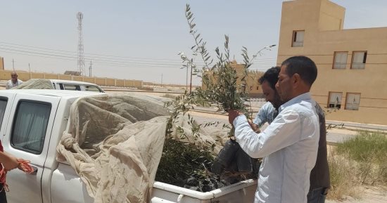 محافظ جنوب سيناء يستجيب لمتضررى تجمع النهايات برأس سدر ويوجه بتعويضهم