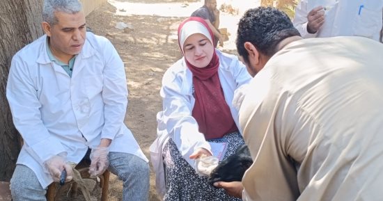 تسليم 216 رأس أغنام وماعز لـ100 أسرة منتجة بالفتح ومنفلوط بأسيوط 