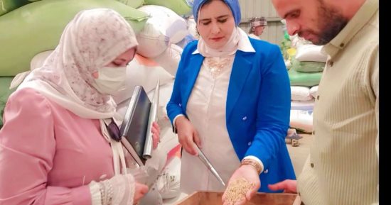 حملات تموينية مكثفة بدمياط.. إعدام نصف طن ألبان فاسدة وضبط مخالفات متنوعة