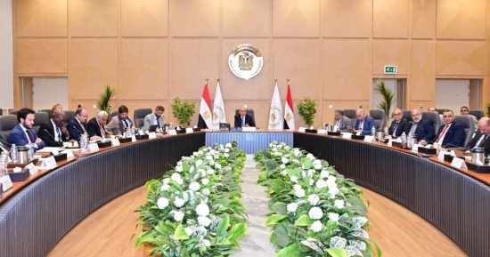 برئاسة أوروبية ألمانية.. وزير الرى يلتقى شركاء التنمية وبنوك الاستثمار بالقاهرة