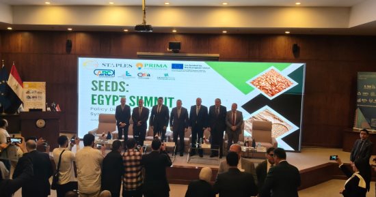 وزير التعليم العالي يطلق مبادرة "عضو هيئة تدريس لكل مصنع" لربط البحث العلمي بالصناعة