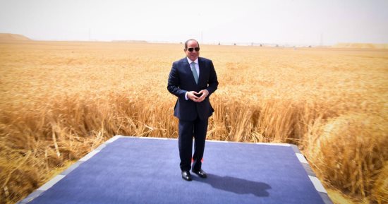عضو زراعة النواب: افتتاح مشروع الدلتا صياغة جديدة لخريطة الأمن الغذائى بمصر