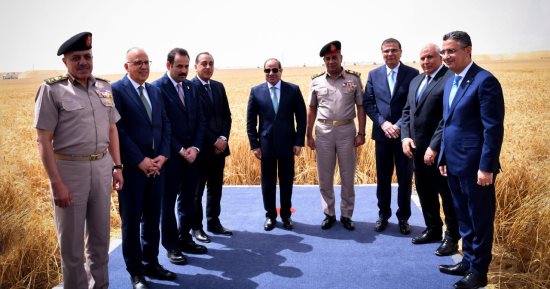 محمد رشوان: مشروع الدلتا الجديدة يعزز الأمن الغذائى ويدعم الاقتصاد الوطنى