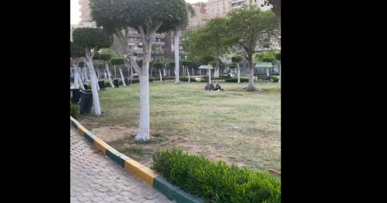 لو مش عارف تذاكر في البيت.. حديقة بـ20 جنيه في مدينة نصر للروقان.. فيديو