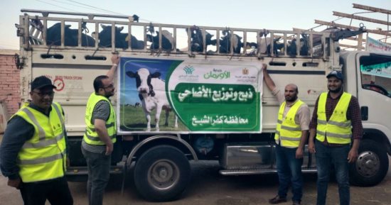 توزيع 50 ألف كيلو لحوم أضاحي و50 عجل بلدي للأسر الأولى بالرعاية بقرى ونجوع كفر الشيخ