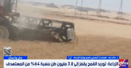 الزراعة: المزارعون اعتمدوا على 25 صنفا جديدا من القمح ذي إنتاجية عالية