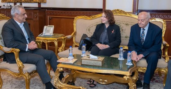 وزير الإنتاج الحربى يبحث مع خبير دولى أوجه تعظيم الاستفادة من الطاقة الشمسية الحرارية