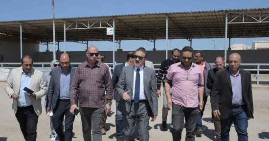 ذبح الأضاحى بالمجازر الحكومية مجانا وحظرها بالشوارع فى بورسعيد.. صور