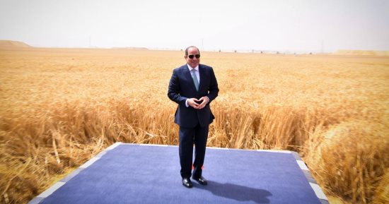 عبد الفتاح عبد المنعم من قلب الحدث: الدلتا الجديدة معجزة القرن الحادي والعشرين بأيادٍ مصرية وعزيمة قائد عظيم.. الرئيس السيسي يعيد رسم خريطة مصر الزراعية ومستقبل مصر ويقود قاطرة الاقتصاد الأخضر