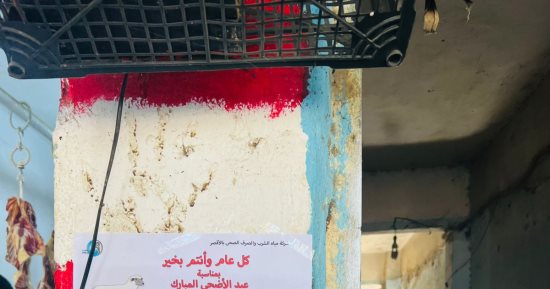 مياه الأقصر تواصل حملة توعية قبل عيد الأضحى بمدن القرنة والزينية.. صور