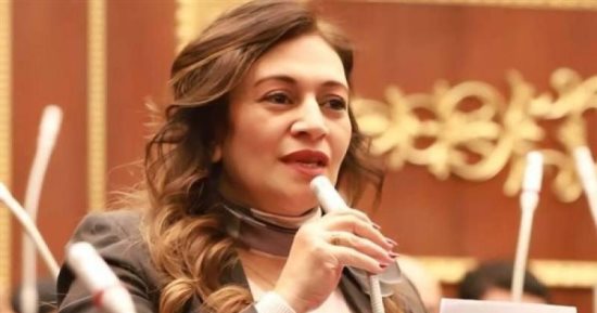 عضو مجلس الشيوخ: قوانين الأسرة تحتاج إلى تغيير بعض المفاهيم المجتمعية