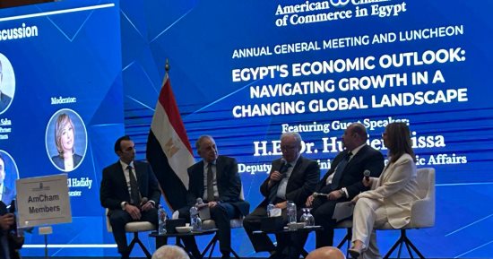 نائب رئيس الوزراء: الاستثمار في مصر يحتاج لثقة ووضوح وتنافسية