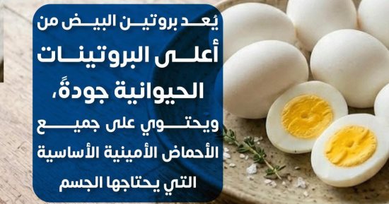 البيض بروتين عالى الجودة.. وزارة الصحة تؤكد أهميته للجسم