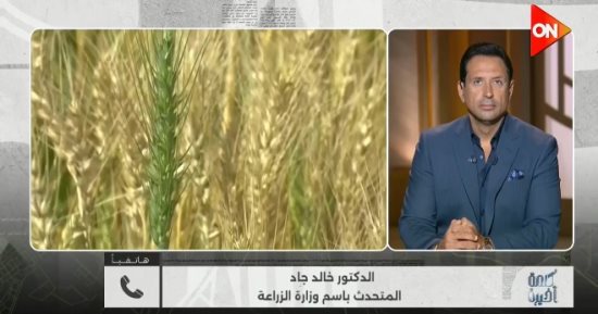 الزراعة: توريد القمح تجاوز 3.5 مليون طن حتى الآن.. ولا توجد أزمة فى الطماطم