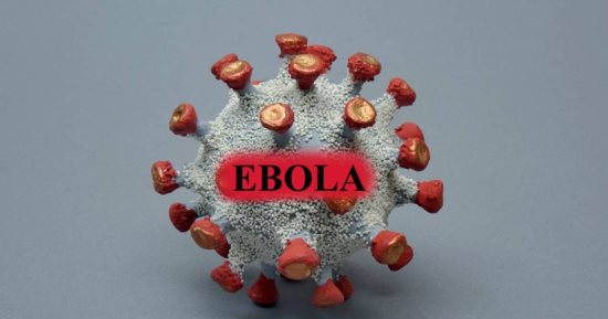 تفشى الإيبولا.. الأغذية العالمى: انتشار المرض فى الكونغو وسط أكبر أزمات الجوع العالمية.. ومدير المنظمة: 26.5 مليون يعانون من نقص الغذاء منهم 3.6 فى مستويات طارئة.. ويؤكد: الفيروس أزمة إنسانية وليست صحية فقط