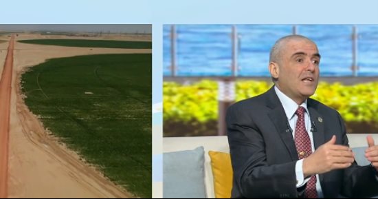 خبير: جهاز مستقبل مصر ينتج نحو مليونى طن من بنجر السكر سنويا