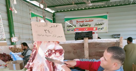 البلدى بـ340 جنيها.. اعرف أسعار اللحوم والدواجن والأسماك بالوادى الجديد