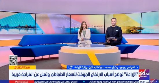 الزراعة تكشف أسباب الارتفاع المؤقت لأسعار الطماطم.. وتزف بشرى بانخفاض قريب 