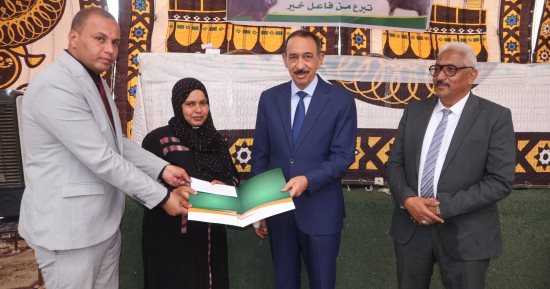 محافظ سوهاج يسلم 20 شيكا للفتيات المقبلات على الزواج بقيمة 400 ألف جنيه 