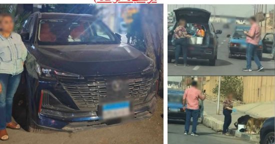 ضبط سيدة تجمع تبرعات باسم الرفق بالحيوان وتطعهم أكل ملوث