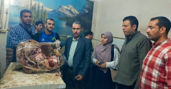 محافظ أسيوط: ضبط مخزن بدون ترخيص يحتوي على 3 أطنان لحوم فاسدة