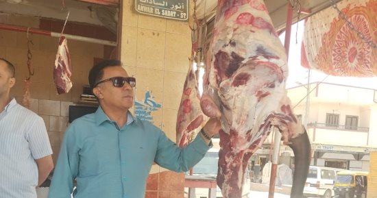 ضبط 1500 كيلو لحوم ودواجن فاسدة ومجهولة المصدر بالإسماعيلية