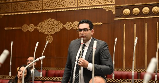 نائب بالشيوخ: تطوير الإدارة المحلية يبدأ من تأهيل الكوادر البشرية