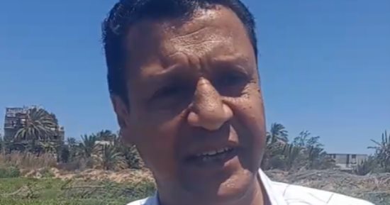 المتحدث باسم وزارة الزراعة: إنتاج البطيخ جيد و80% من المناطق نسبة إنتاجها عالية