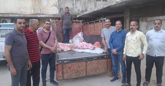 الطب البيطري بسوهاج تضبط سيارة قبل توزيع لحوم غير صالحة بأختام مزورة