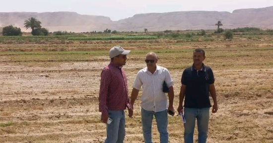 محافظة سوهاج تنفى زراعة أراضى خضراوات على مياه الصرف الصحى بالكولة