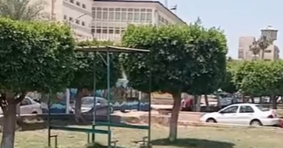 طقس مائل للحرارة بكفر الشيخ وانتظام حركة الملاحة.. فيديو