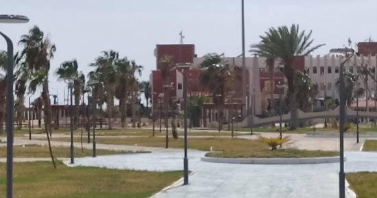 مجازر مجانية وحملات رقابية.. استعدادات جنوب سيناء لعيد الأضحى