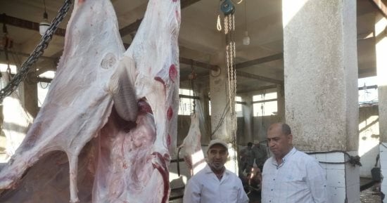 مجازر كفر الشيخ تفتح أبوابها مجانا لذبح الأضاحي طوال أيام العيد