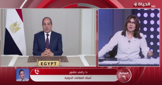 أستاذ علاقات دولية: أفريقيا هي العمق الحيوي للأمن القومي المصري 