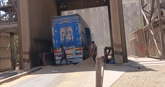 أطنان القمح تتدفق على صوامع أسوان بالآلاف.. صور 