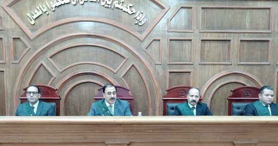 المؤبد لـ 7 متهمين بقتل شخص بسبب خلافات بينهم بالشرقية
