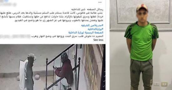 بسبب موبايل.. مسجل خطر يسب فتاة ويقذفها بالحجارة.. والأمن يضبط المتهم