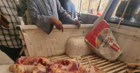 حقيقة ضبط لحوم كلاب مجهزة للاستهلاك فى الجيزة.. بيان رسمى يحسم الجدل