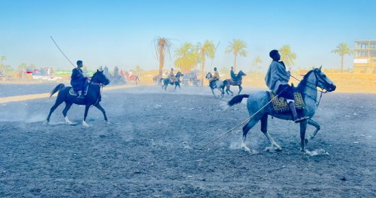 مهارة وسيطرة على الخيل.. عروض الخيالة تبهر جمهور مولد الشيخ عتمان بقنا.. فيديو