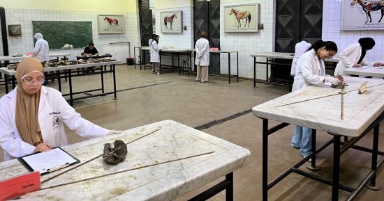 طلاب كليات القطاع الصحي بجامعة القاهرة الأهلية يؤدون الامتحانات العملية